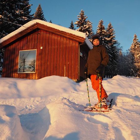 Cabin With Great View Close To Town And Ski Area Лиллехамер Экстерьер фото