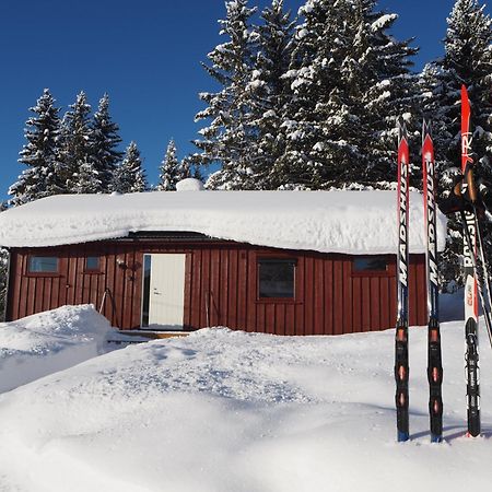 Cabin With Great View Close To Town And Ski Area Лиллехамер Экстерьер фото